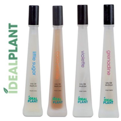 Eau de parfum sans alcool - Gamme idealplant - Chien